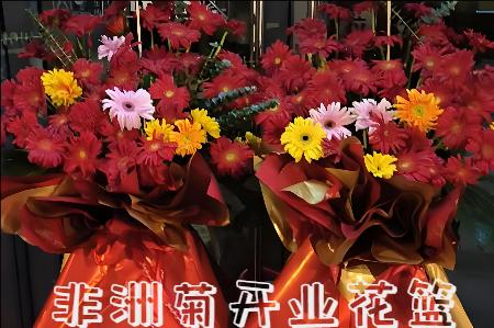 合肥巢湖市开业花篮